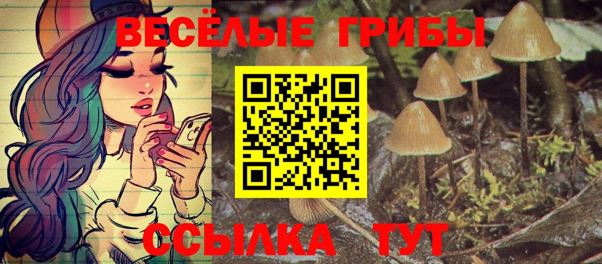 Алексин  Псилоцибиновые грибы мицелий  Вход с VPN 